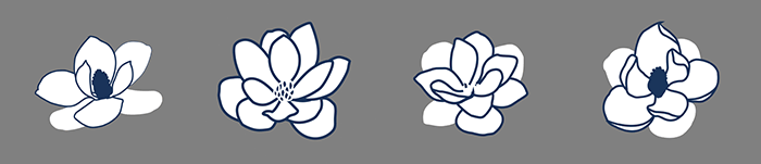 Not-so-great looking magnolia drawings